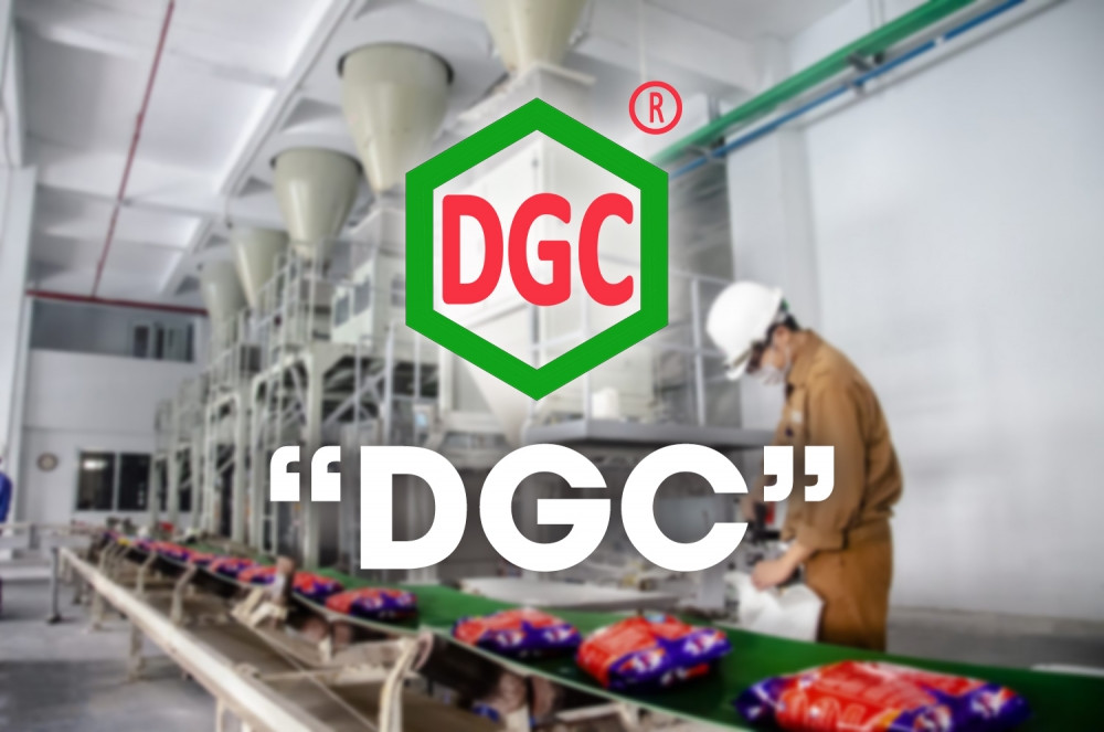 BÁO CÁO ĐÁNH GIÁ _CÔNG TY CỔ PHẦN TẬP ĐOÀN HÓA CHẤT ĐỨC GIANG ( DGC )